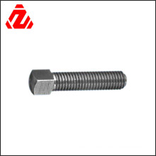 Customizable Stainless Steel Shaped Square Head Bolt